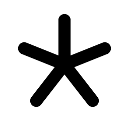 asterisk simple bold icon