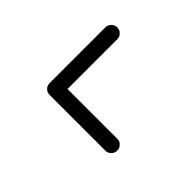 caret left bold icon