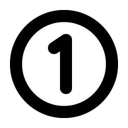 number circle one bold icon