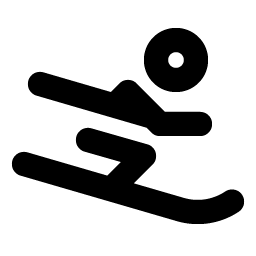 person simple ski bold icon