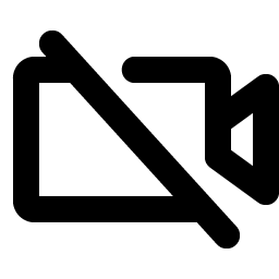 video camera slash bold icon