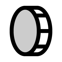 coin vertical duotone icon