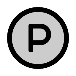 letter circle p duotone icon