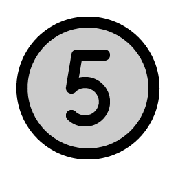 number circle five duotone icon