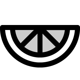 orange slice duotone icon