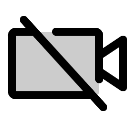 video camera slash duotone icon