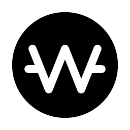 currency krw fill icon