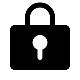 lock key fill icon