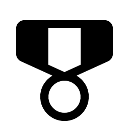 medal military fill icon
