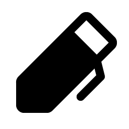 pen fill icon