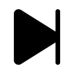 skip forward fill icon