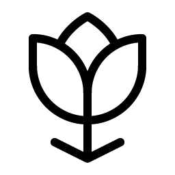 flower tulip light icon