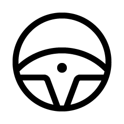 steering wheel light icon