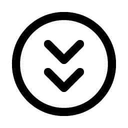 caret circle double down icon