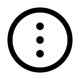 dots three circle vertical icon