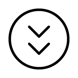 caret circle double down thin icon