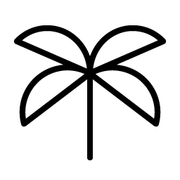 tree palm thin icon