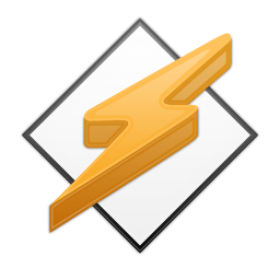 Winamp icon