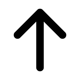 Arrow Up Bold icon