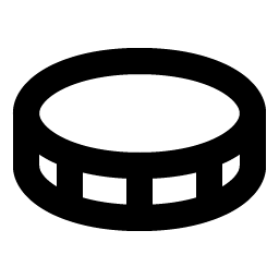 Coin Bold icon