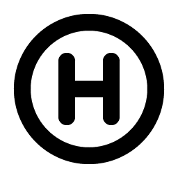 Letter Circle H Bold icon