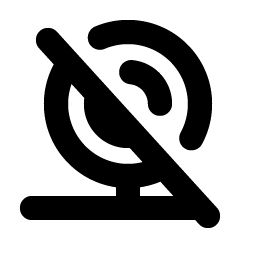 Webcam Slash Bold icon