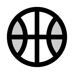 Basketball Duotone icon