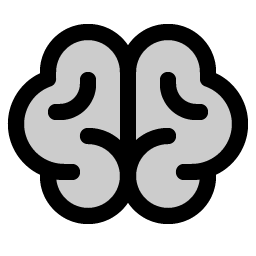 Brain Duotone icon