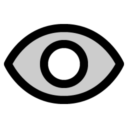 Eye Duotone icon