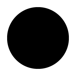 Circle Fill icon