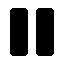 Pause Fill icon