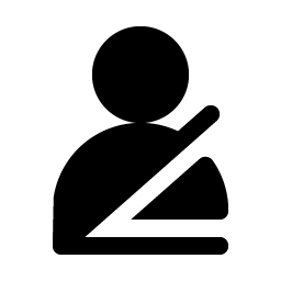 Seatbelt Fill icon