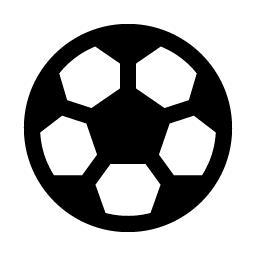 Soccer Ball Fill icon