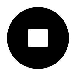 Stop Circle Fill icon