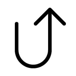 Arrow U Right Up Light icon