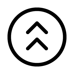 Caret Circle Double Up Light icon