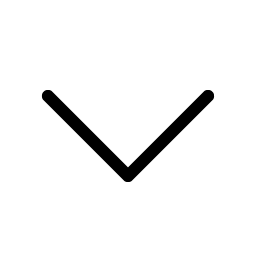 Caret Down Light icon