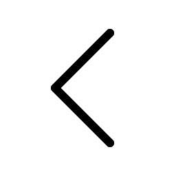 Caret Left Light icon