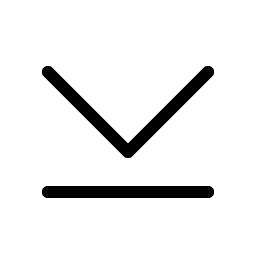 Caret Line Down Light icon