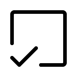 Check Square Offset Light icon