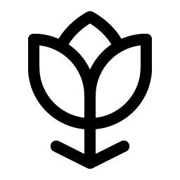 Flower Tulip icon