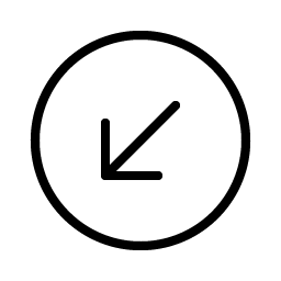 Arrow Circle Down Left Thin icon