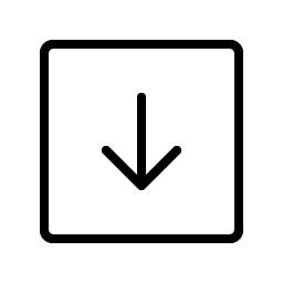 Arrow Square Down Thin icon