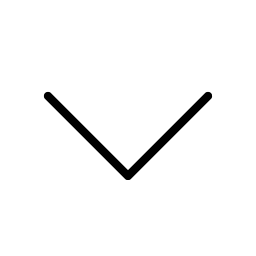 Caret Down Thin icon