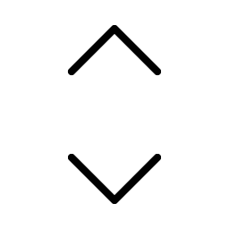 Caret Up Down Thin icon