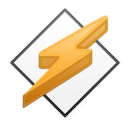 Winamp icon