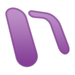 Onenote icon